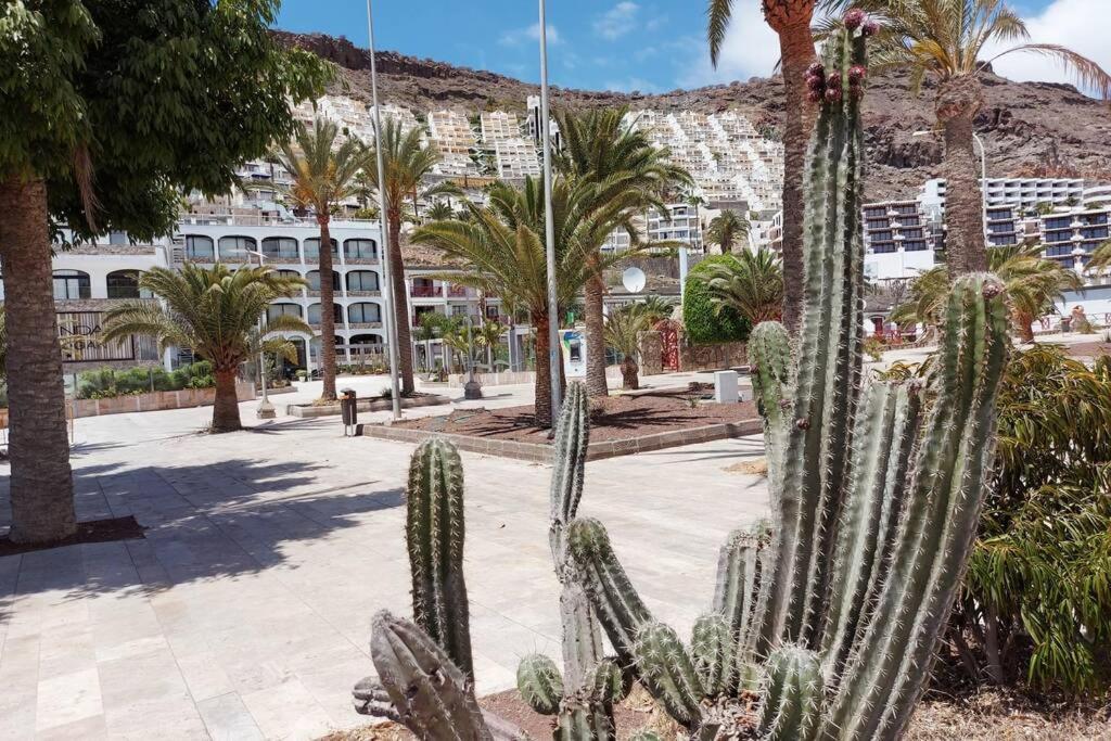 Ertel Suite Monte Golf-Vista Mar Playa Del Cura  Kültér fotó