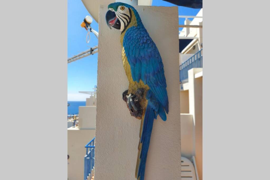 Ertel Suite Monte Golf-Vista Mar Playa Del Cura  Kültér fotó